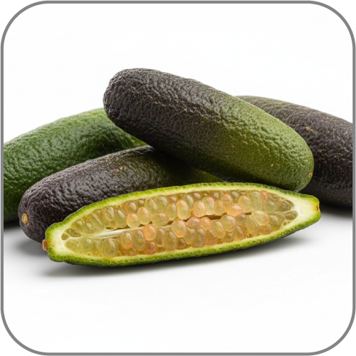 Finger-Lime-Notes-Icon