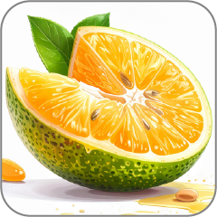 Pomelo-Notes-Icon
