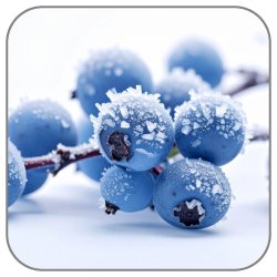 Arctic-Bramble-Notes-Icon