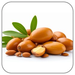Argan-Notes-Icon