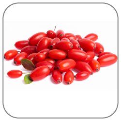 Barberry-Notes-Icon
