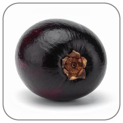 Black-Walnut-Notes-Icon