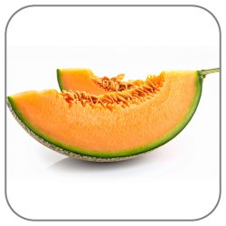Cantaloupe-Notes-Icon