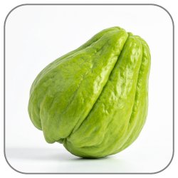 Chayote-Notes-Icon