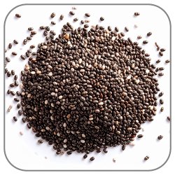 Chia-Seed-Notes-Icon