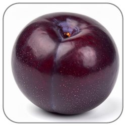Dark-Plum-Wu-Mei-Note