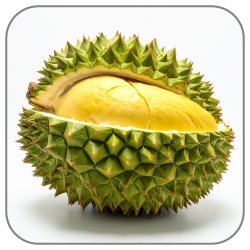Durian-Notes-Icon