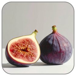 Fig-Notes-Icon