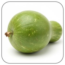 Flowering-Gourd-Notes-Icon