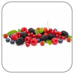 Forest-Fruits-Notes-Icon
