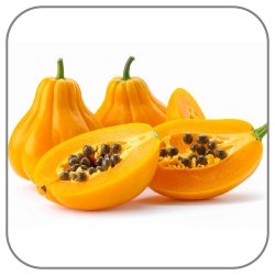 Genipapo-Notes-Icon