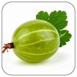 Gooseberry-Notes-Icon
