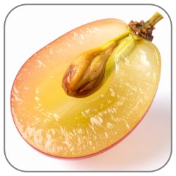 Grape-Seed-Notes-Icon