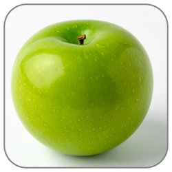 Green-Plum-Notes-Icon