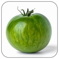 Greengage-Notes-Icon