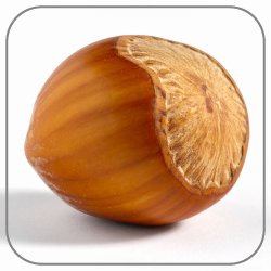 Hazelnut-Notes-Icon