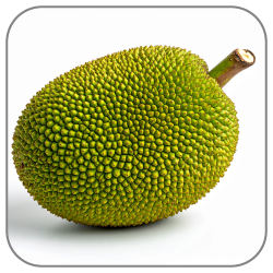 Jackfruit-Notes-Icon