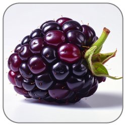 Loganberry-Notes-Icon