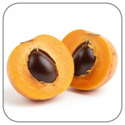 Lucuma-Notes-Icon