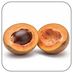 Mamey-Notes-Icon