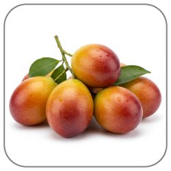 Marian-Plum-Notes-Icon