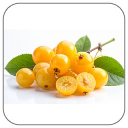 Mirabelle-Notes-Icon