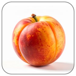 Nectarine-Notes-Icon
