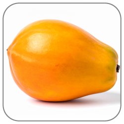 Papaya-Notes-Icon