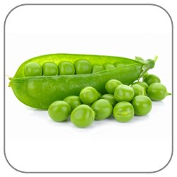 Pea-Notes-Icon