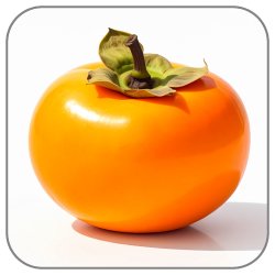 Persimmon-Notes-Icon