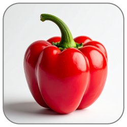Peruvian-Pepper-Notes-Icon