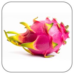 Pitahaya-Notes-Icon