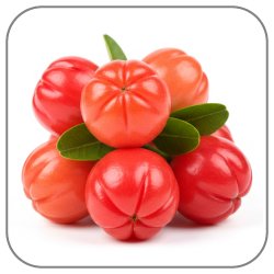 Pitanga-Notes-Icon