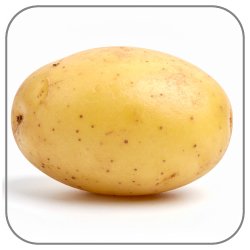 Potato-Notes-Icon