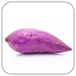 Purple-Yam-Notes-Icon