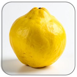 Quince-Notes-Icon