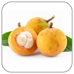 Santol-Notes-Icon