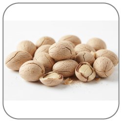 Shea-Nuts-Notes-Icon