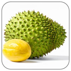 Soursop-Notes-Icon
