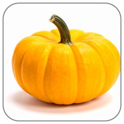 Squash-Notes-Icon