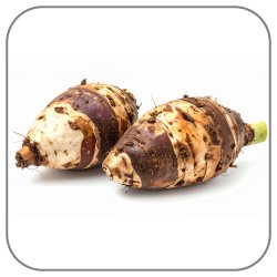 Taro-Notes-Icon