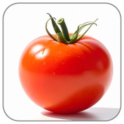 Tomato-Notes-Icon