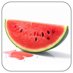 Watermelon-Notes-Icon
