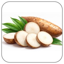 Yuca-Cassava-Notes-Icon