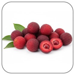 Yumberry-Notes-Icon