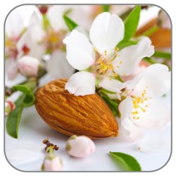 Almond-Blossom-Notes-Icon