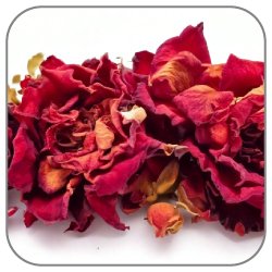 Dried-Rose