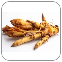 Orris-Root