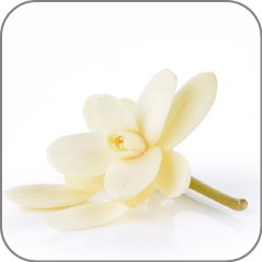 Sandalwood Flower-Notes Icon