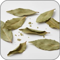 Bay Leaf